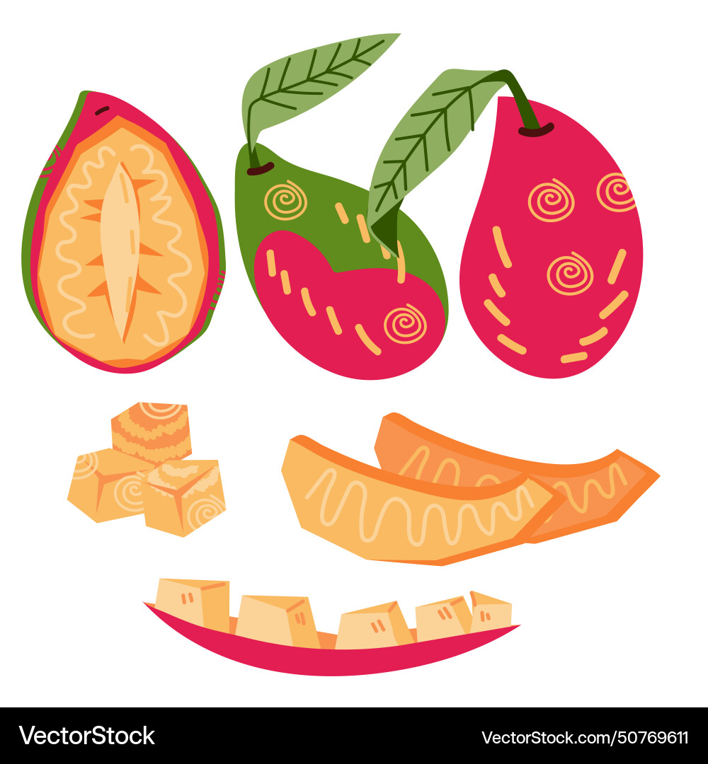 Set of mango design elements flat Vector Image