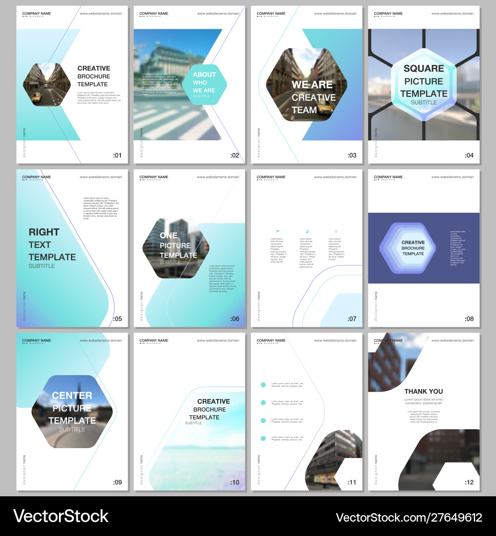 Creative brochure templates with hexagonal design Creative brochure templates with hexagonal design vector image