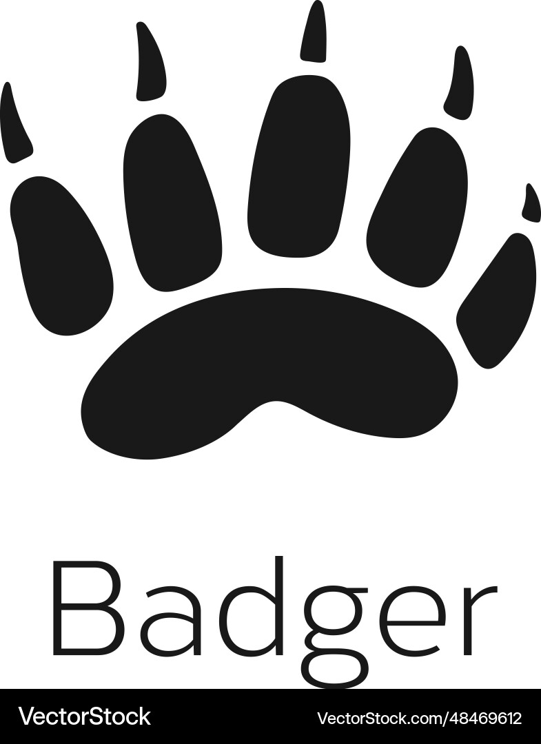 Wild badger foot mark forest animal footprint Vector Image
