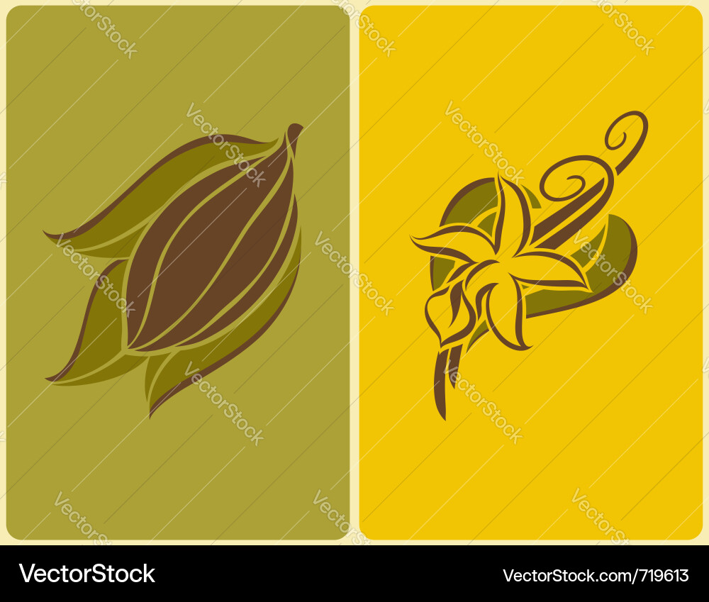 Cocoa & Vanilla Elements vector image