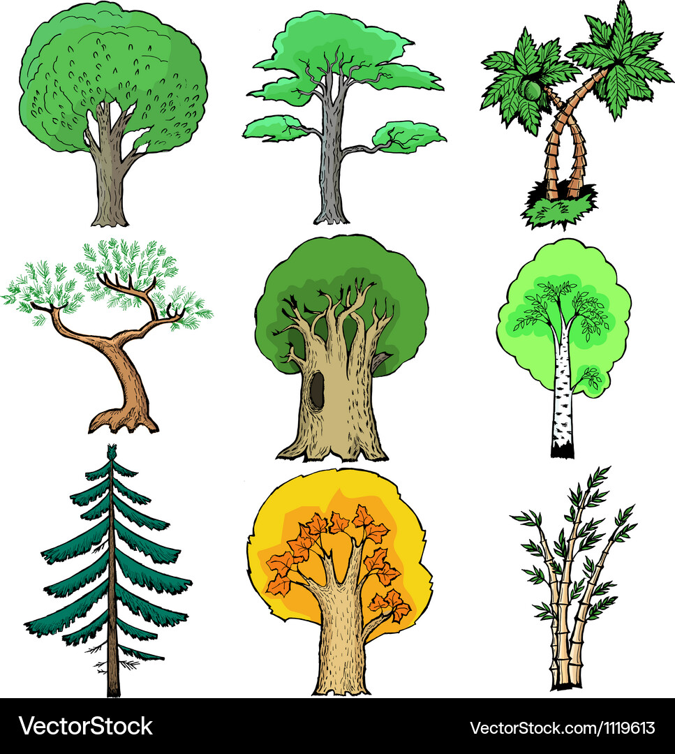 Set of trees Vector Image