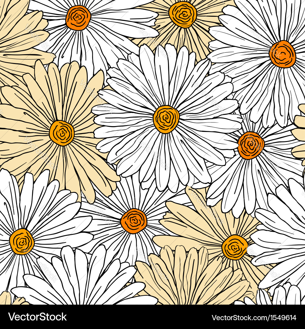 Chamomile Seamless Pattern vector image