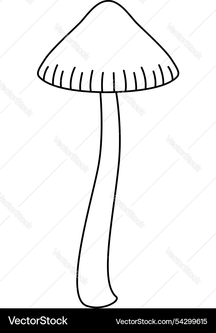 Autumn forest mushroom - linear image Vector Image