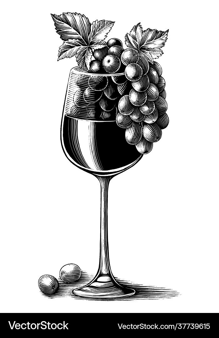 Grape wine with glass hand drawn vintage Grape wine with glass hand drawn vintage vector image