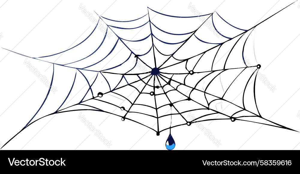 Elegant Spider Web Pattern Vector Image
