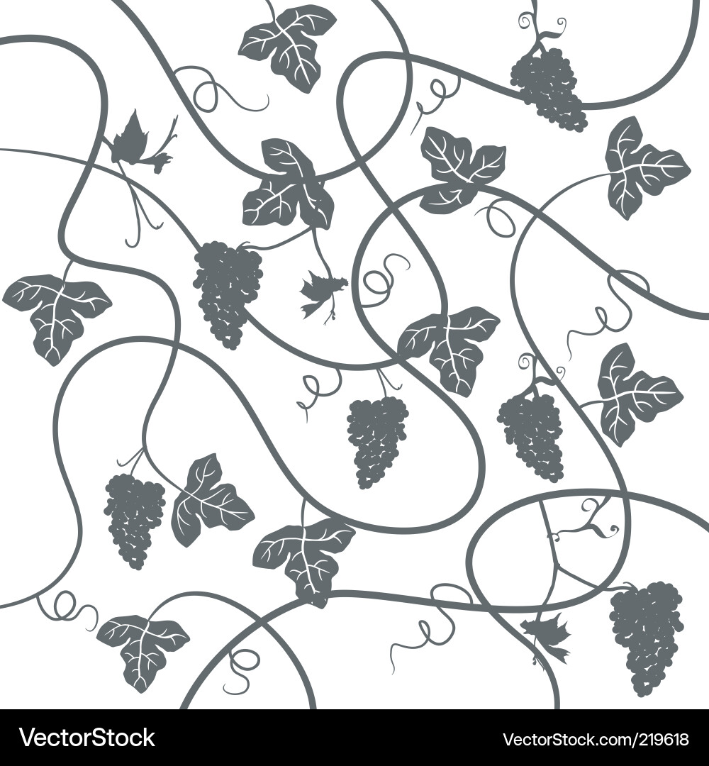 Grapevine Background vector image