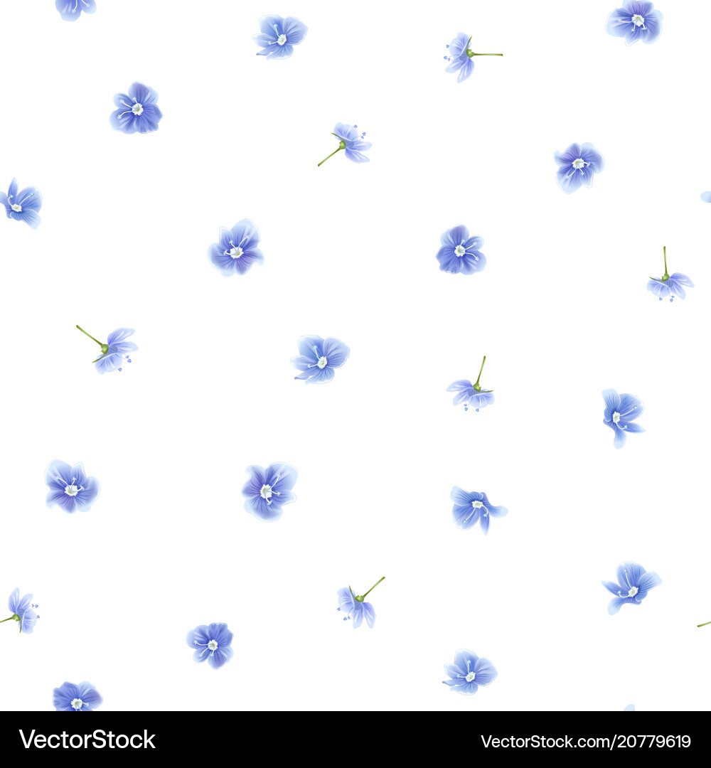 Forget me not pattern Forget me not pattern vector image