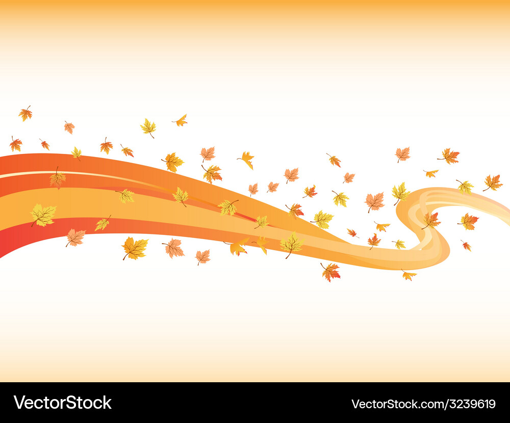 Windswept maples curve background Vector Image