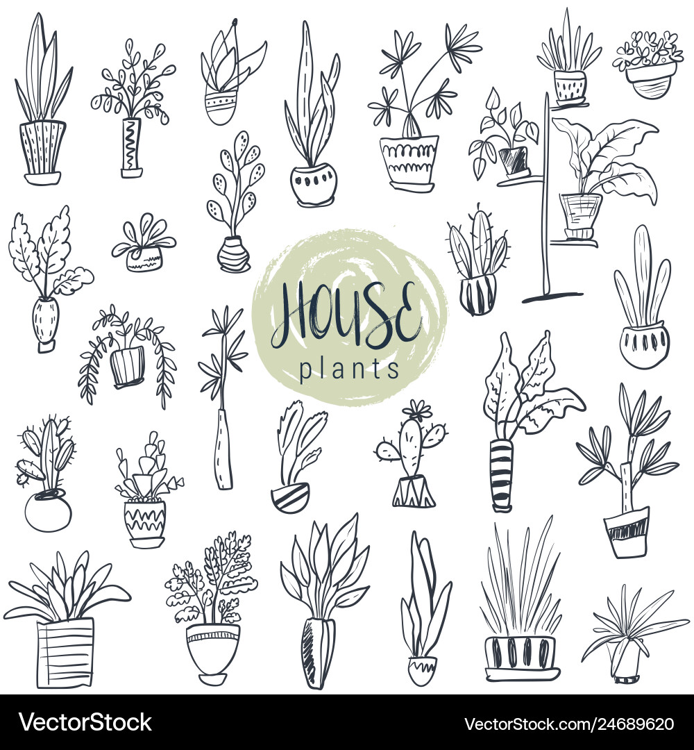 Collection of house plants in pots vector image