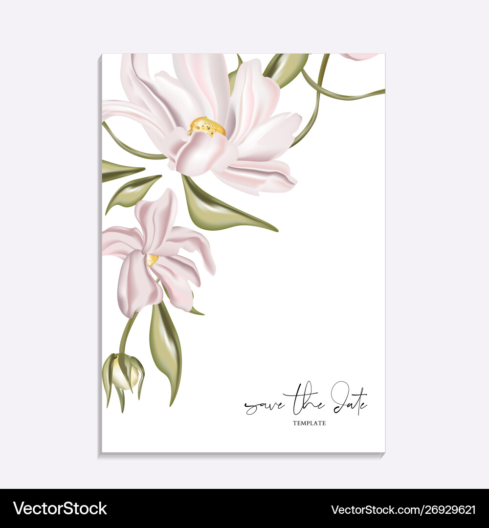 Floral tender soft magnolia wedding invitation vector image