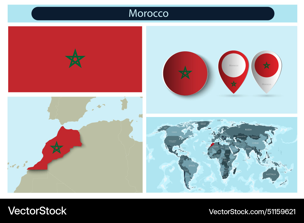 Political infographics made from maps and flags Vector Image