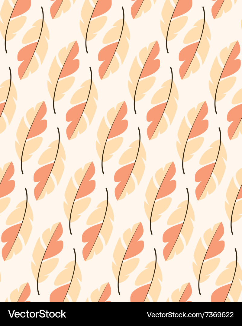 Seamless pattern design with bohemian feathers Vector Image
