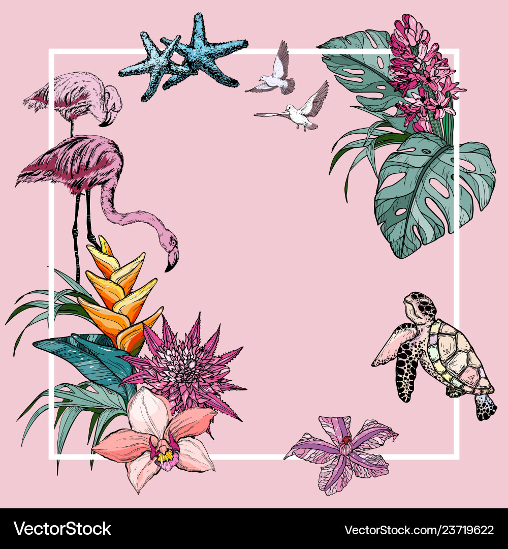 Tropical Summer Banner with Flamingos & Turtles Vector Image