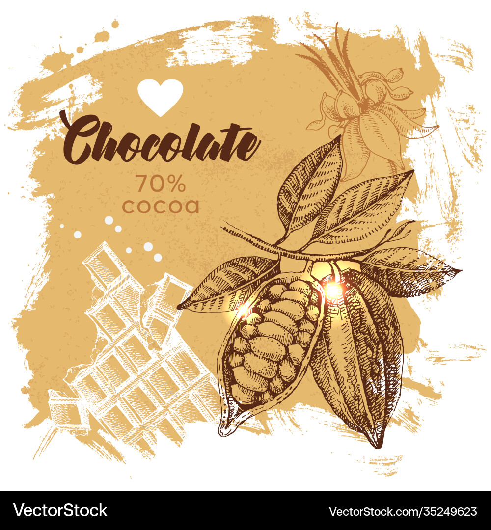 Cocoa Bean Sketch - Chocolate Background Vector Image