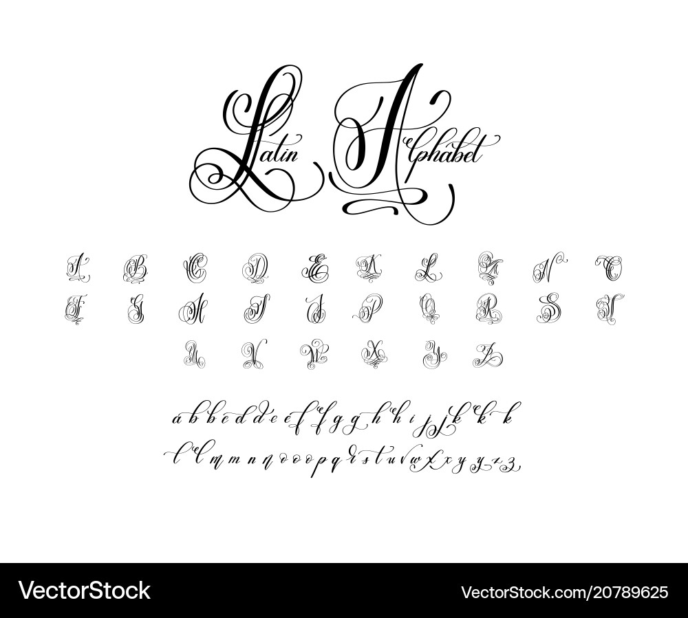 Elegant Latin Alphabet Letter Set Royalty Free Vector Image