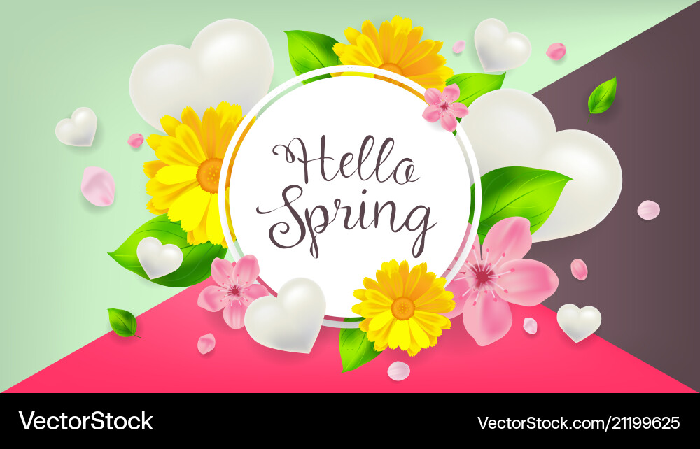 Hello spring background with flower Vector Image