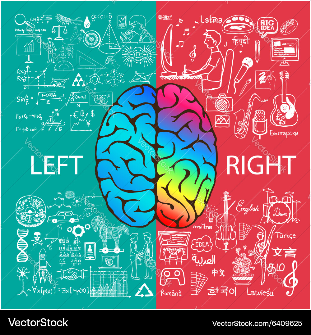 Human brain infographic Royalty Free Vector Image