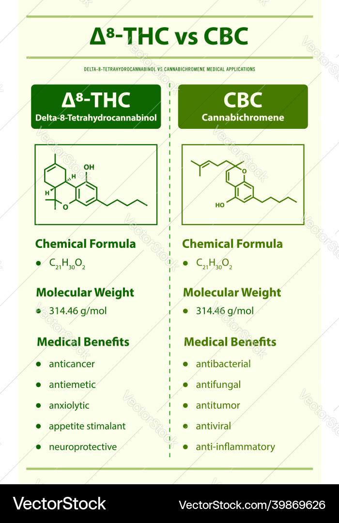 8-thc vs cbc delta 8 tetrahydrocannabinol vector image