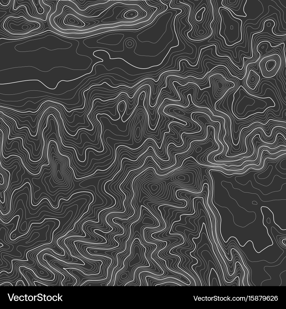 Topographic map background with space for copy vector image