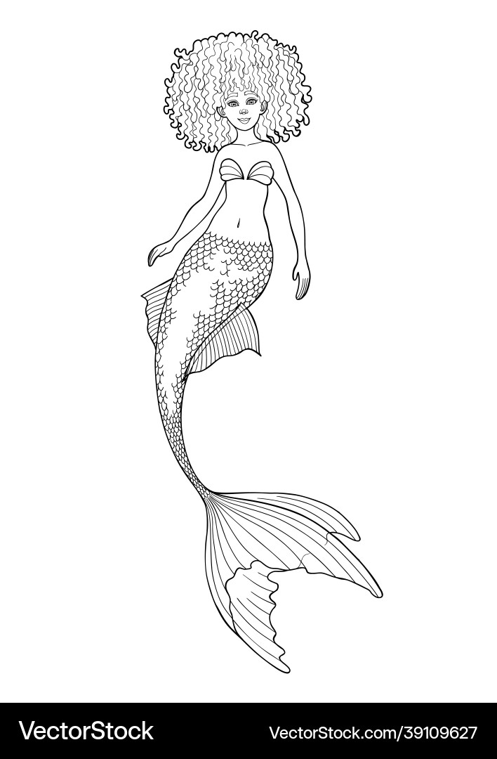 Graphic mermaid isolated on white background Graphic mermaid isolated on white background vector image