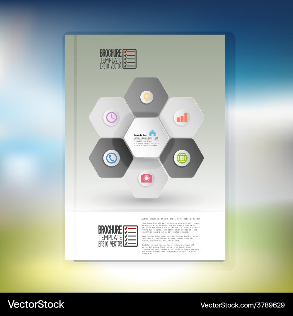 Abstract hexagonal infographic pattern brochure Vector Image