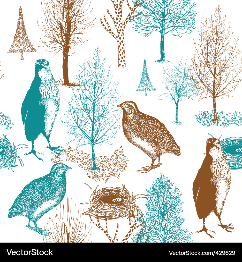 Forest Birds in a Nest Vector Image