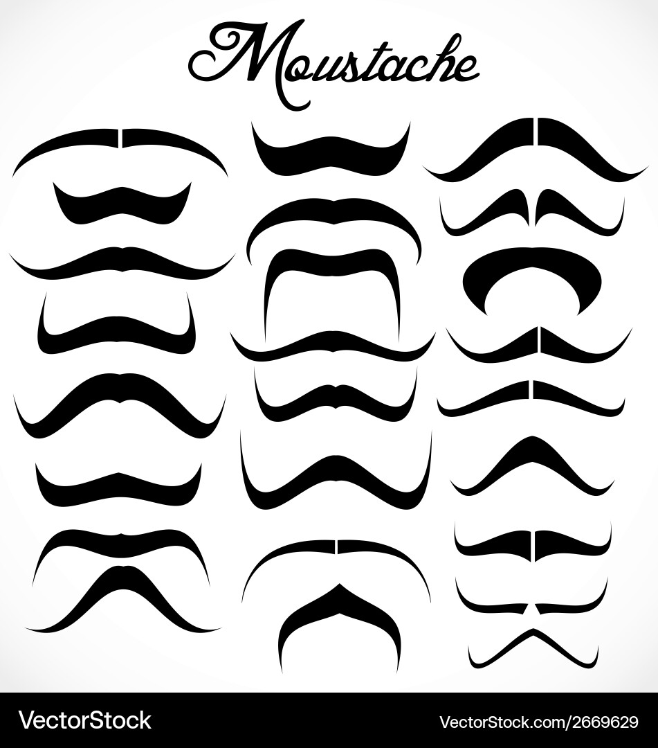 Variety of Moustaches Vector Image
