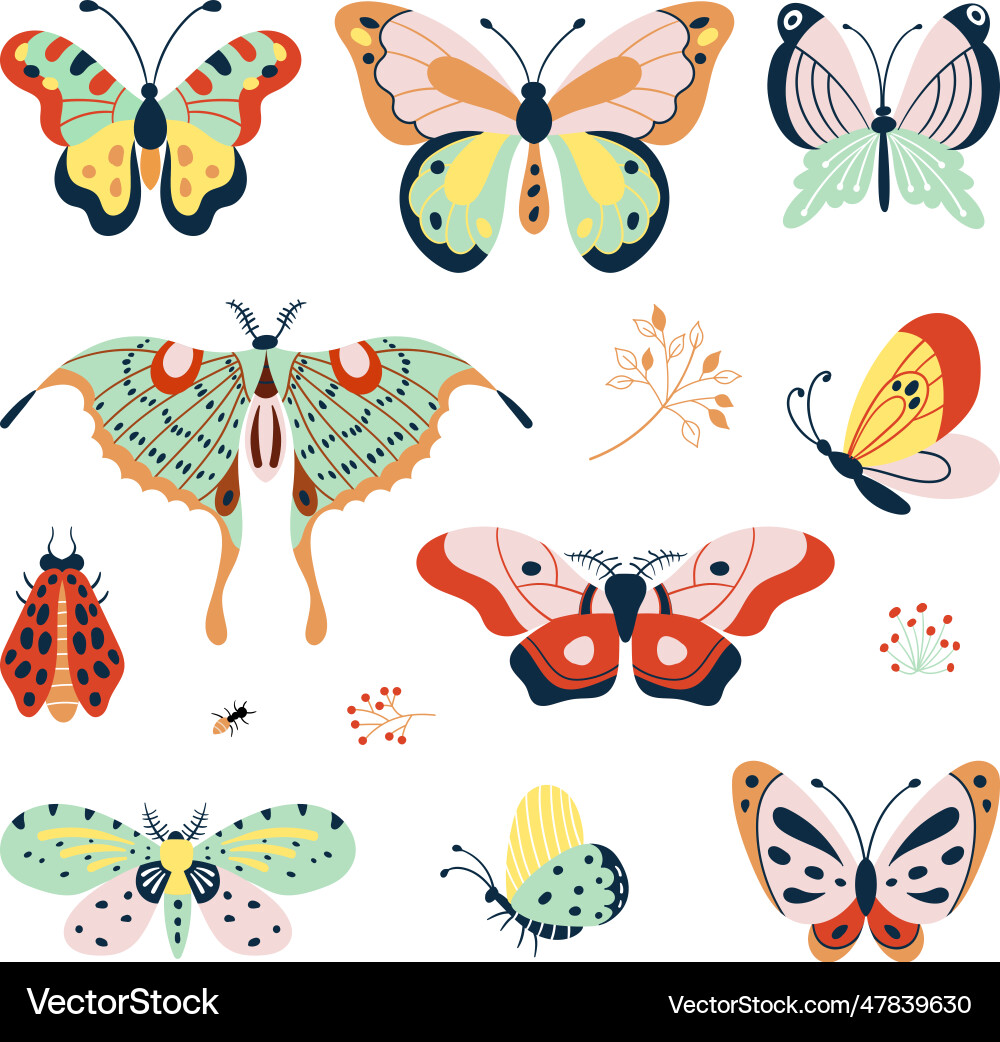 Decorative Butterfly Collection vector image