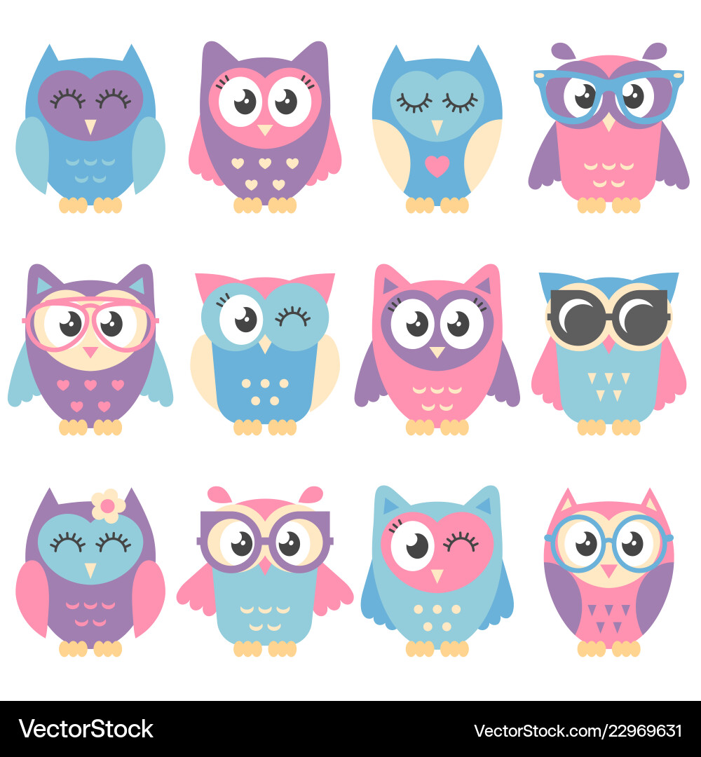 Colorful Owl Icons - Cute Animals Vector Image