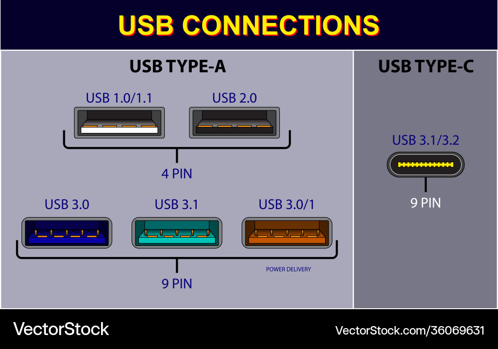 Computer Connector Types vector image