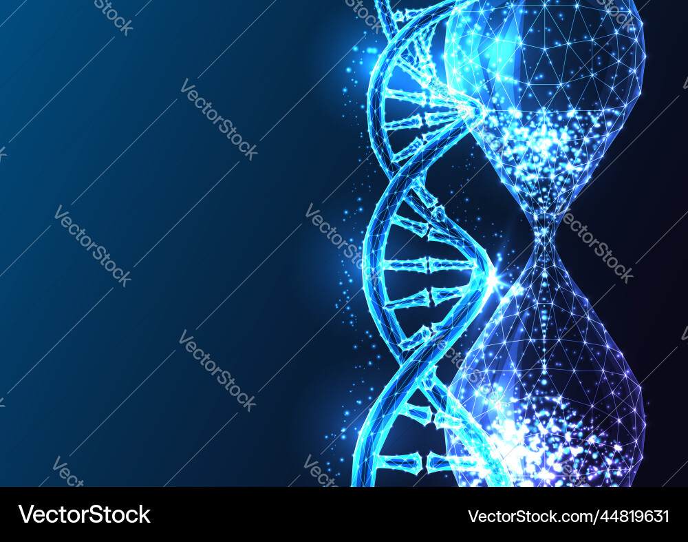 Futuristic life expectancy longevity science Futuristic life expectancy longevity science vector image