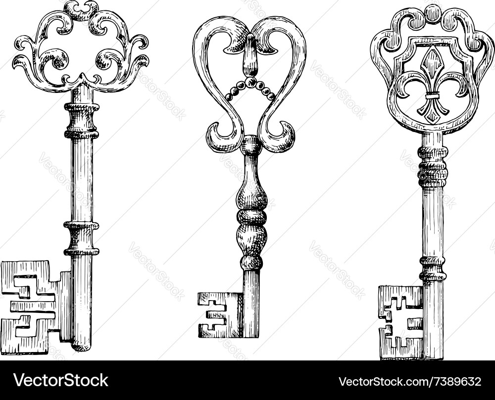 Medieval Skeleton Keys vector image