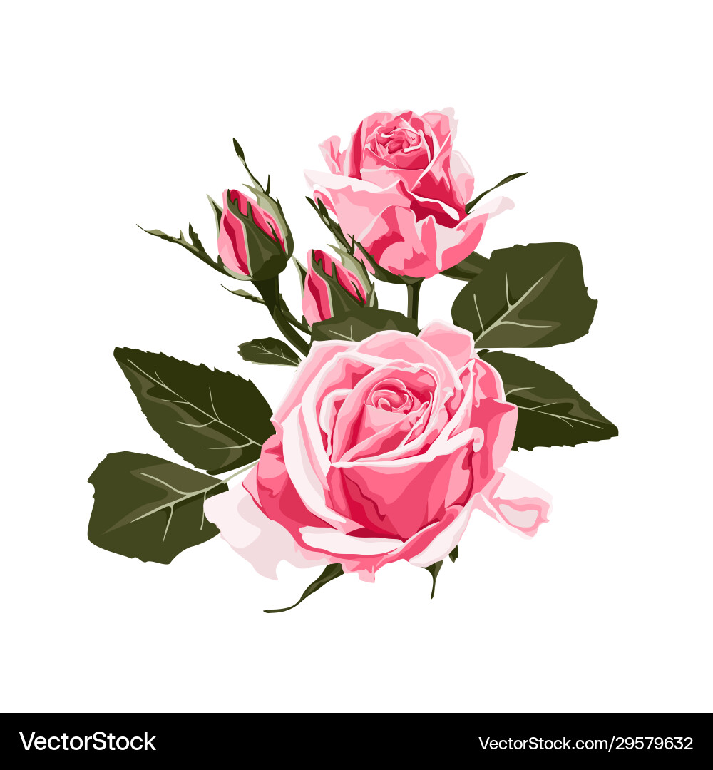 Rose elegant card Royalty Free Vector Image - VectorStock