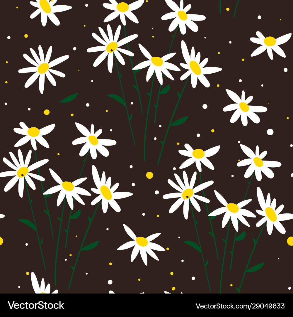 White Chamomile Floral Pattern Vector Image