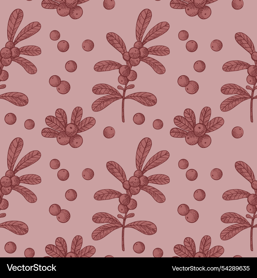 Seamless pattern with cranberry vector image