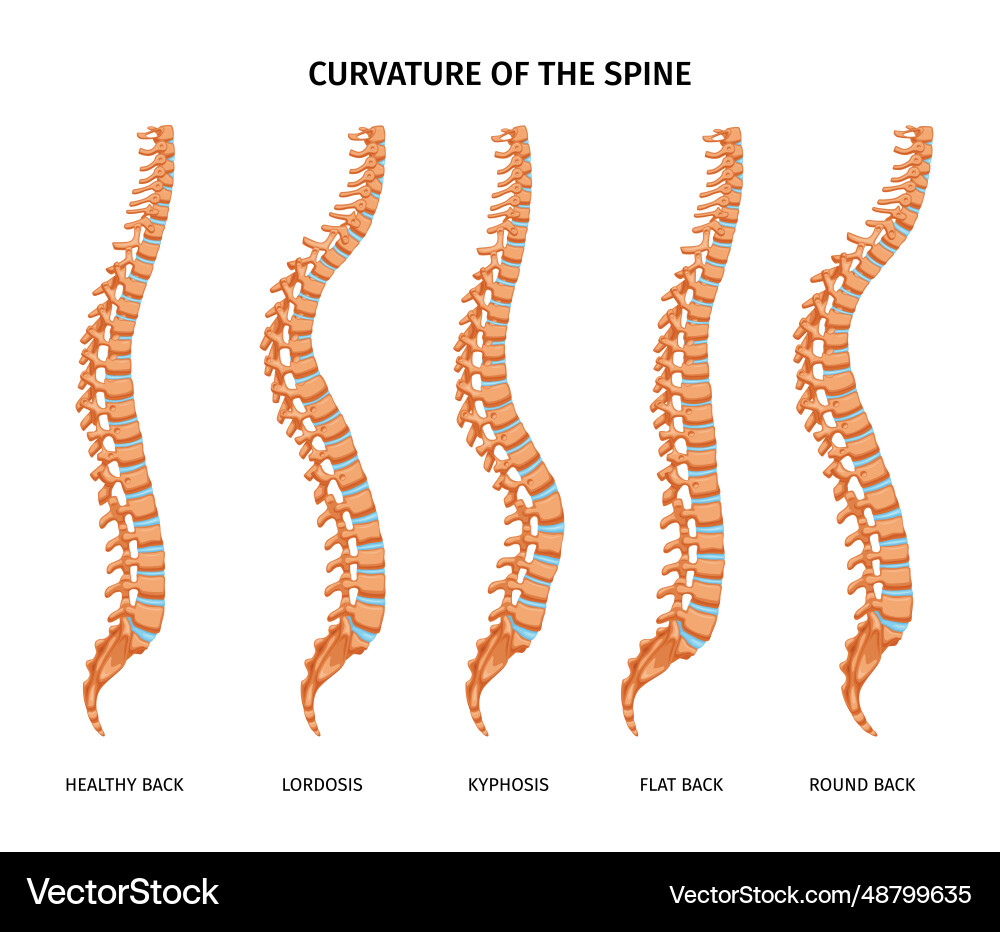 To be the spine of To be the spine of