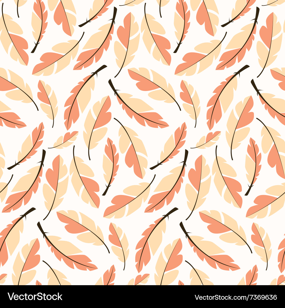 Bohemian Feather Pattern Royalty Free Vector Image