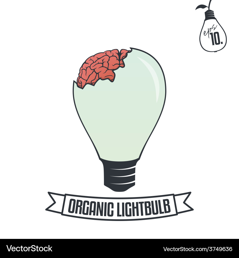 Lightbulb with brain Vector Image