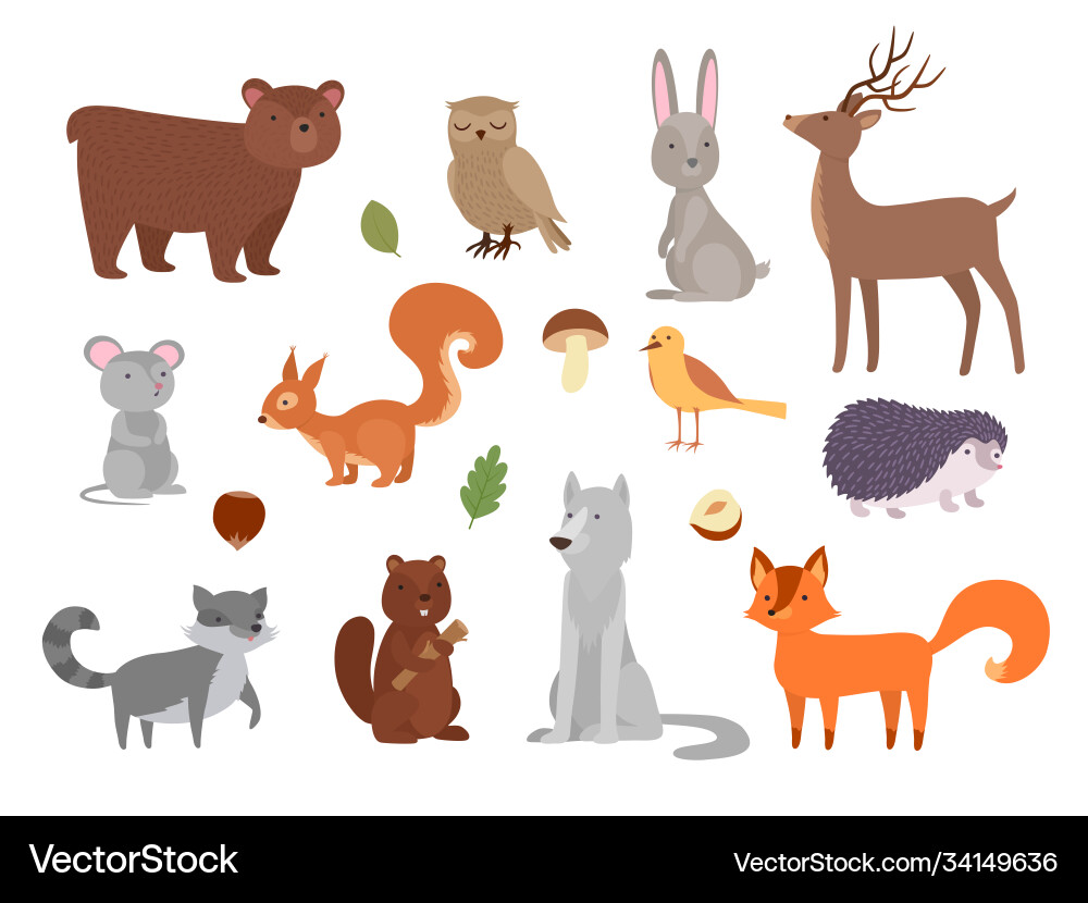 Wood animals cute wild characters in forest fox Wood animals cute wild characters in forest fox vector image