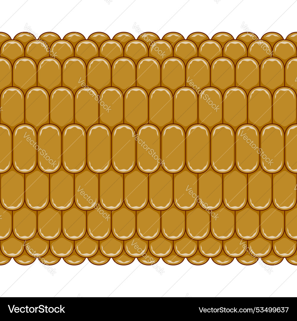 Horizontal seamless pattern with corn cob texture Horizontal seamless pattern with corn cob texture vector image