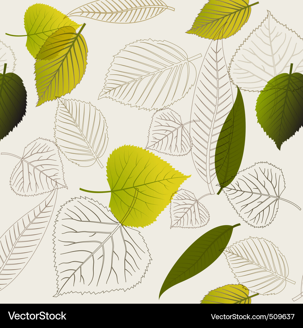 Leaf Pattern - Botanical Abstract Vector Image