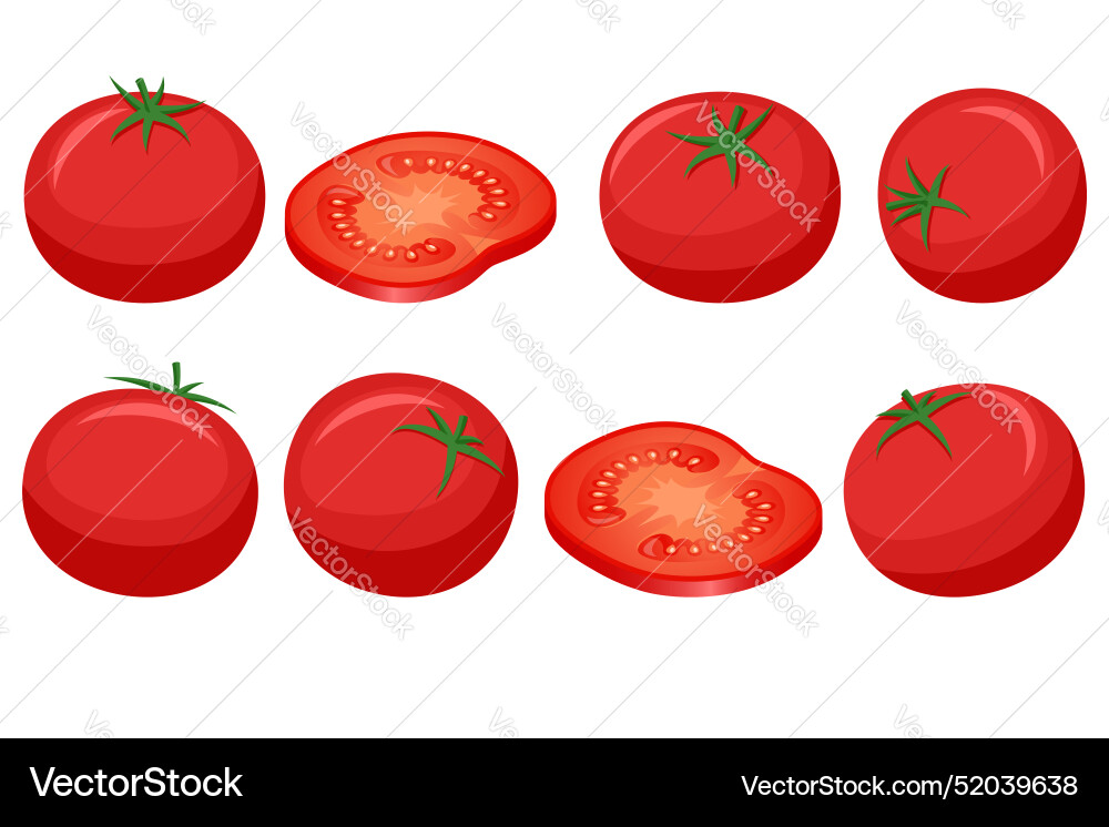 Isometric red tomatoes are juicy Isometric red tomatoes are juicy vector image