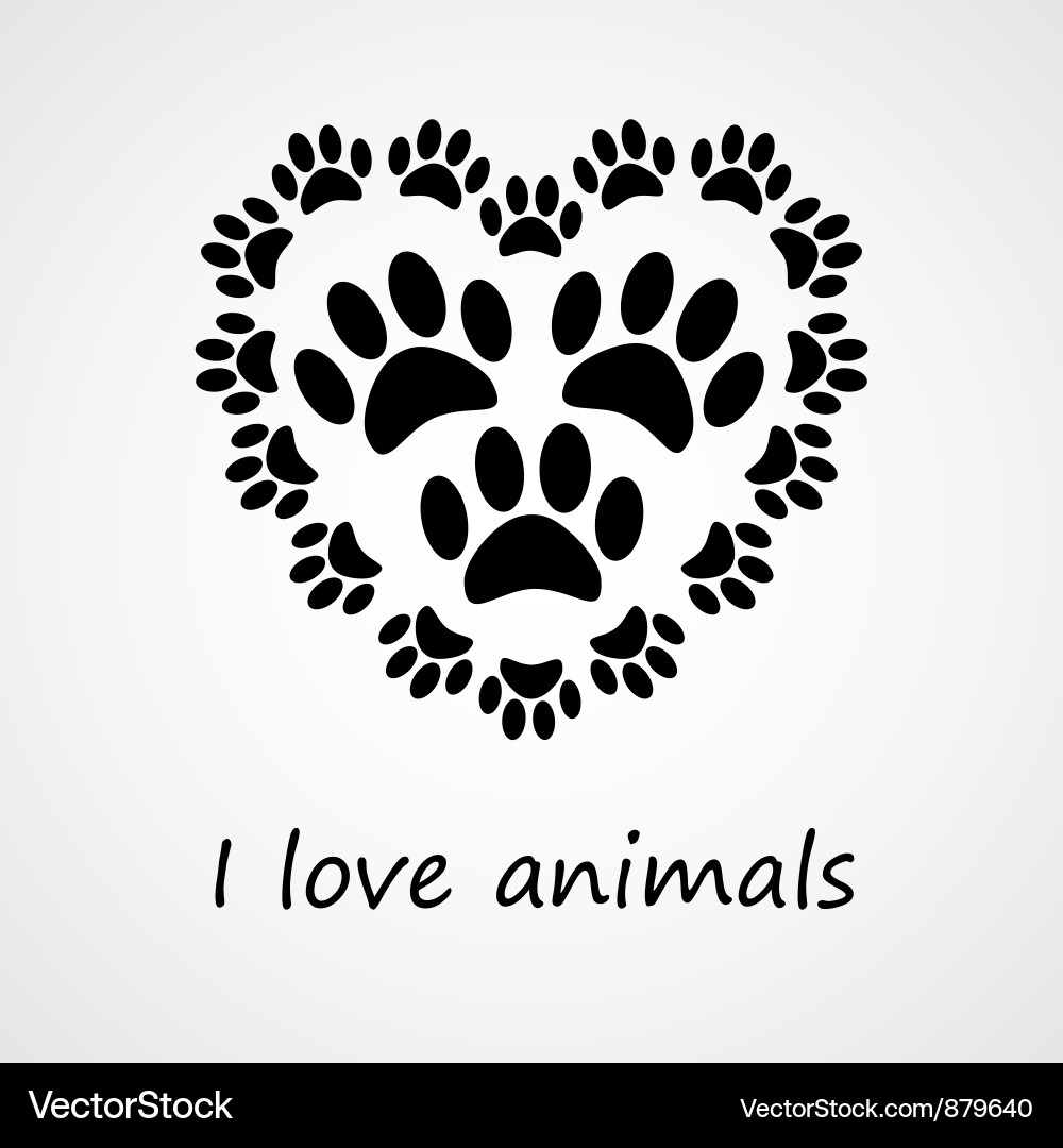 Animal Paw Prints vector image