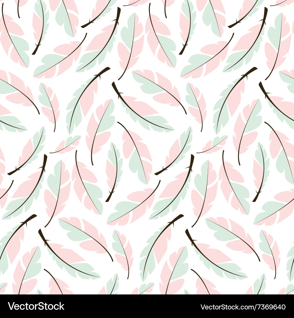 Bohemian Feather Pattern vector image