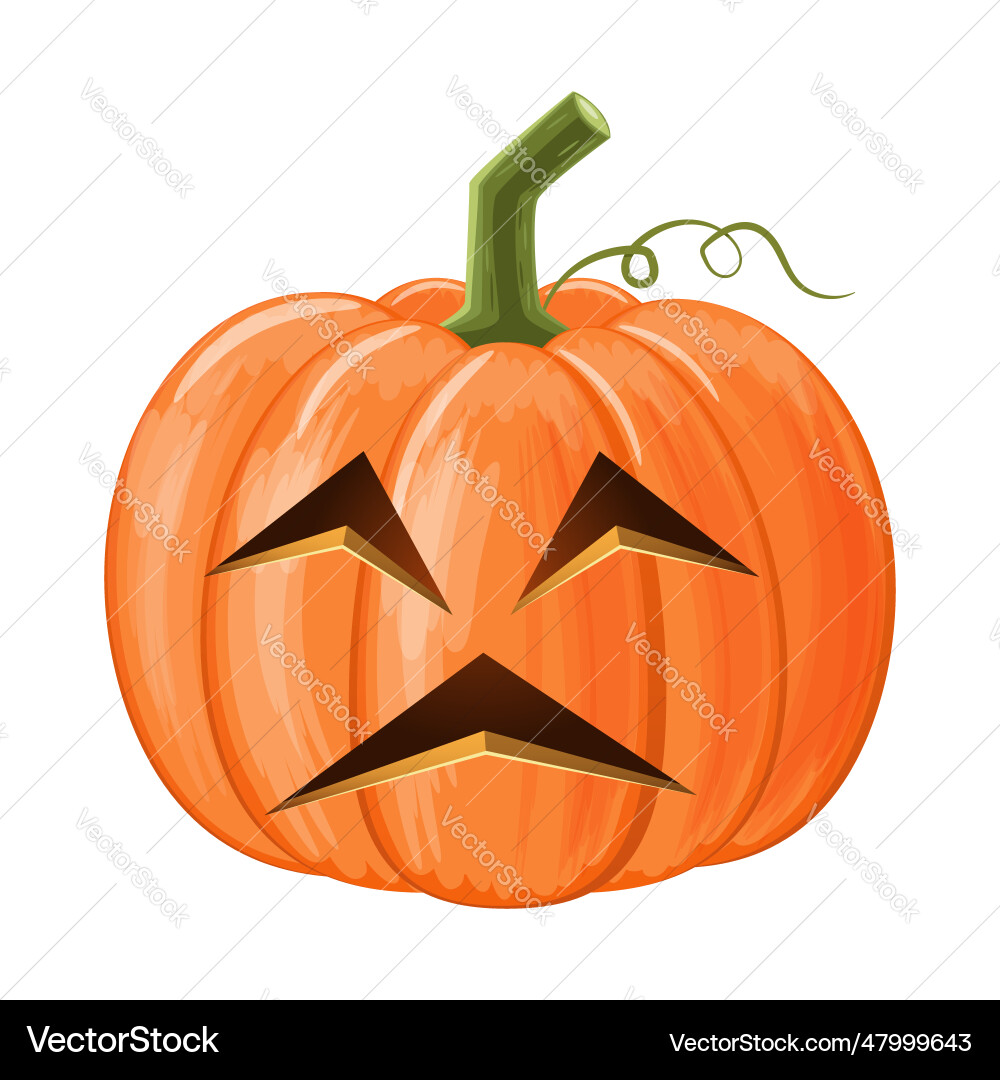 Halloween pumpkin jack olantern isolated white Halloween pumpkin jack olantern isolated white vector image