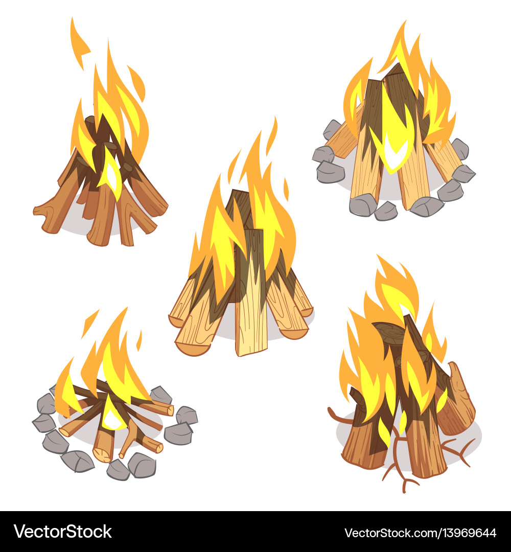 Outdoor Campfire with Burning Logs vector image