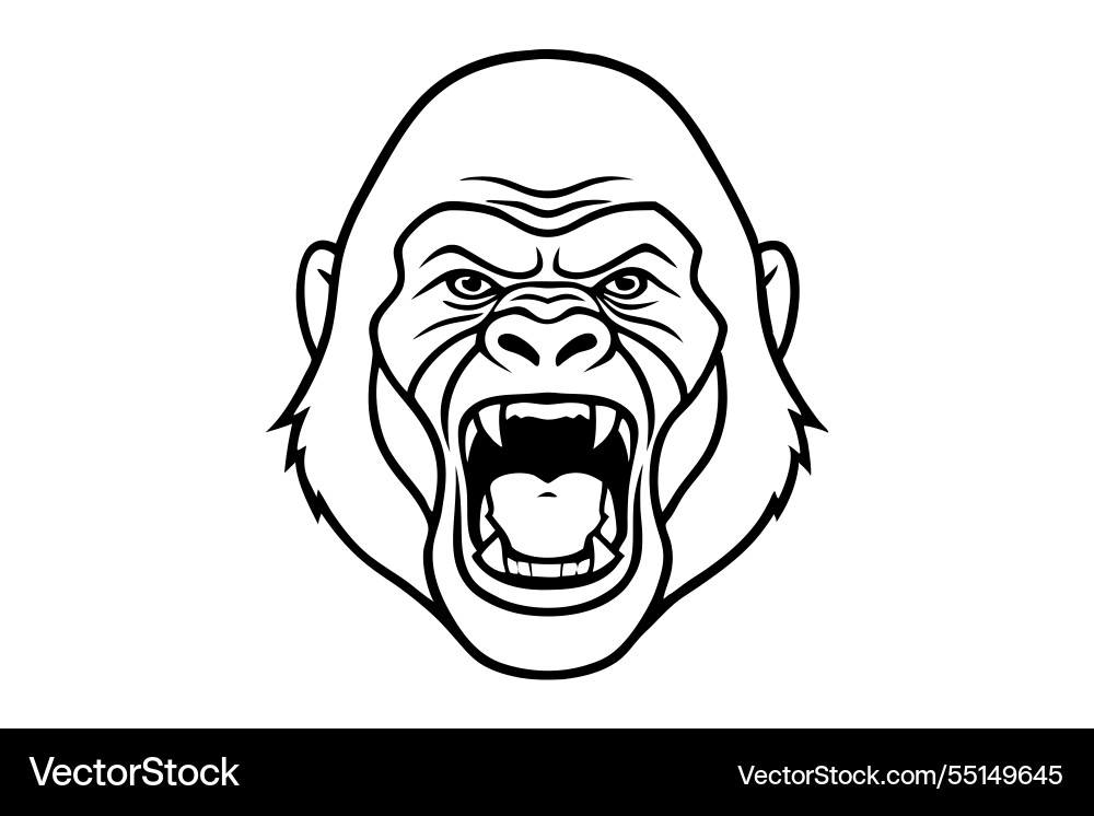 Line art of a gorilla face front view screaming Vector Image