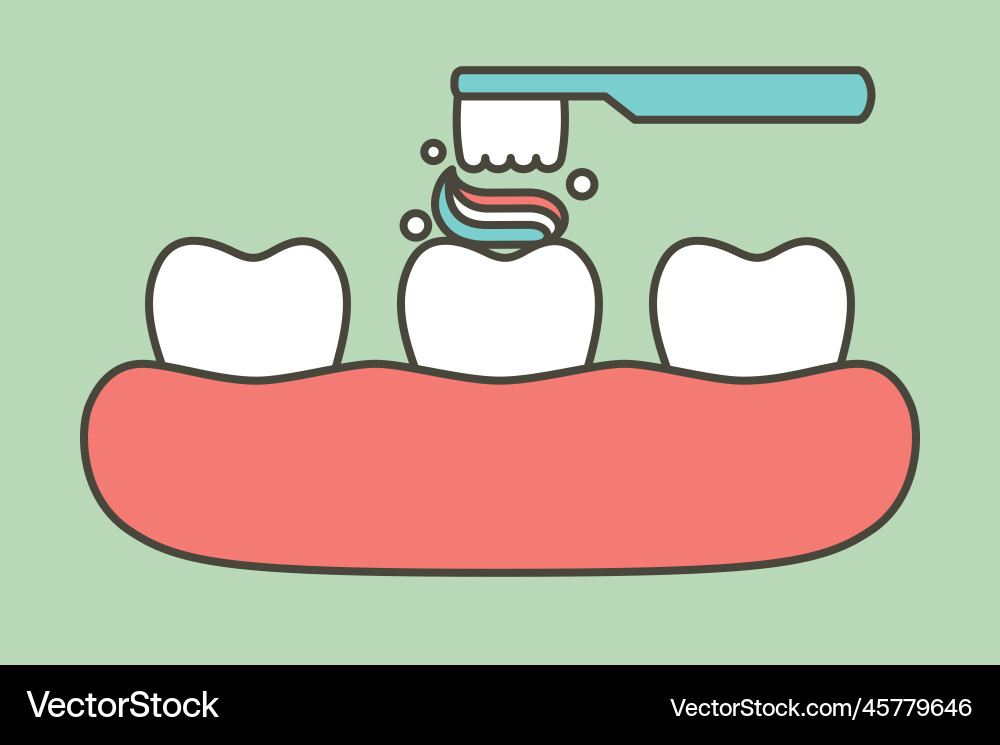Brushing teeth toothbrush and toothpaste on tooth Vector Image
