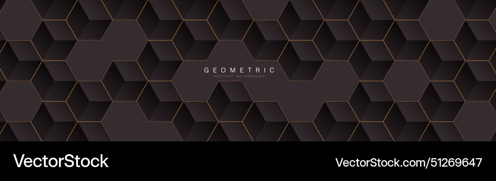 Dark Hexagon Tech Pattern vector image