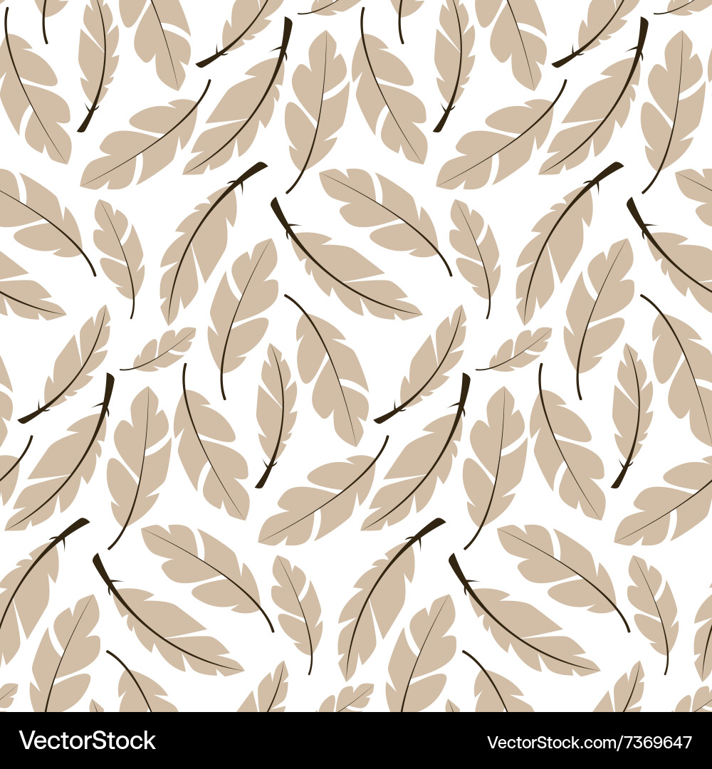 Seamless pattern design with bohemian feathers Vector Image